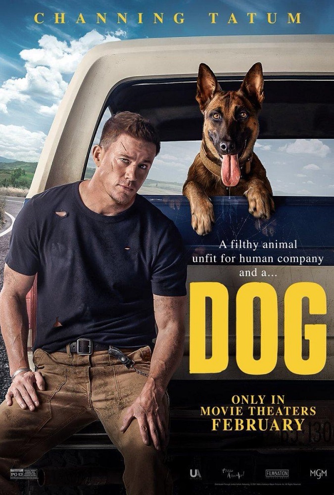 نقد فیلم Dog, بررسی فیلم Dog, تحلیل فیلم Dog