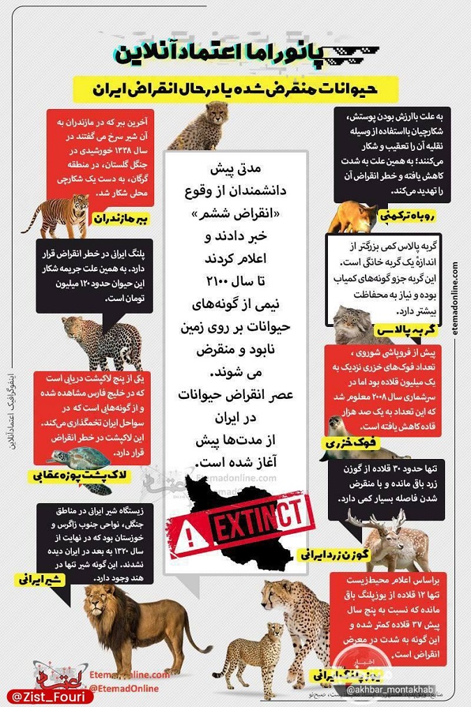 کدام حیوانات در ایران منقرض شدند؟
