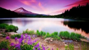 بهترین مناطق گردشگری در فصل تابستان 1402