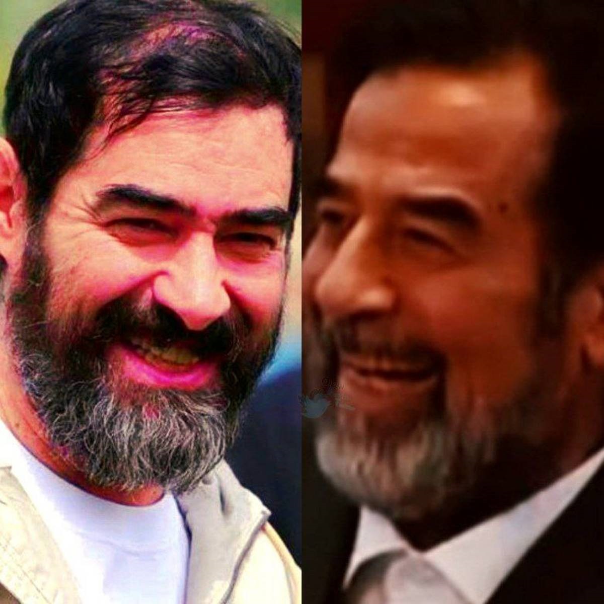 تکذیب خبر بازی کردن نقش صدام توسط شهاب حسینی 