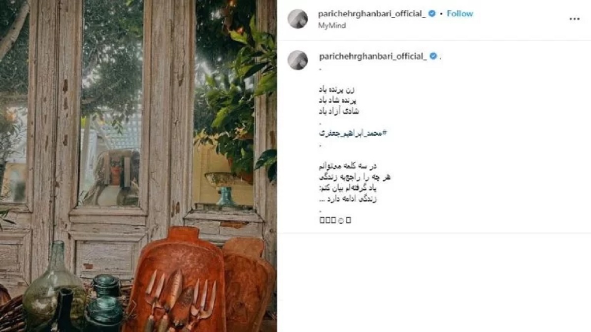 پریچهر قنبری همسر سابق شهاب حسینی و سفر به آمریکا