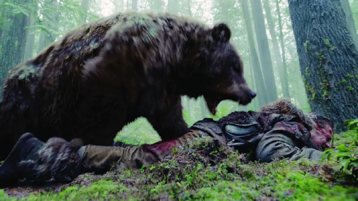 بهترین فیلم های خرس محور ترسناک