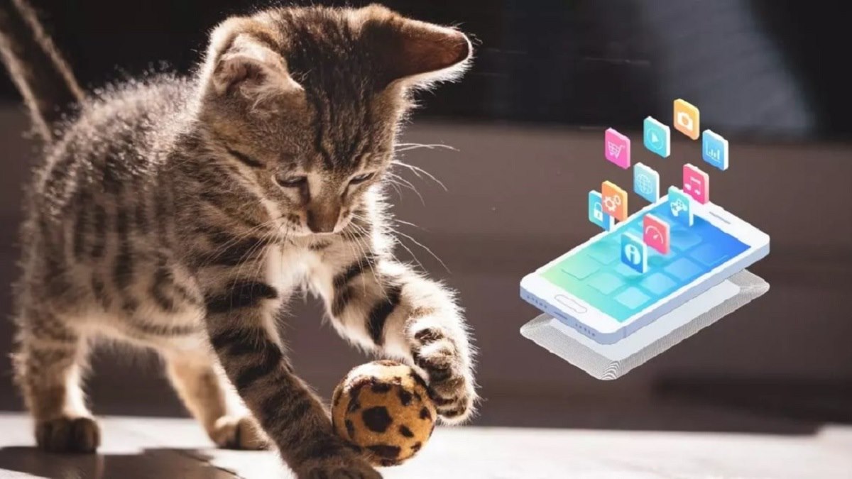 بهترین بازی های موبایلی برای گربه ها