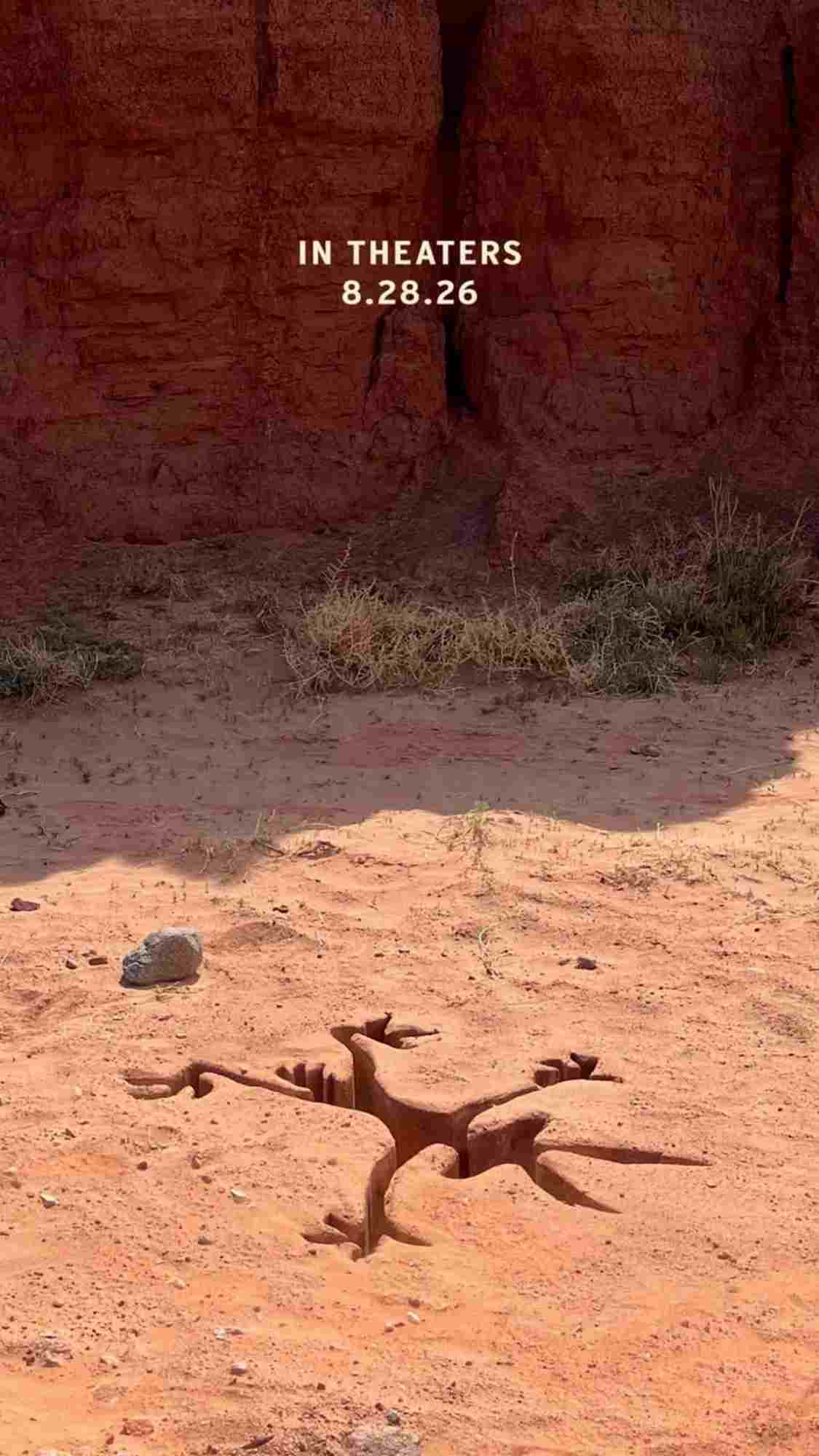 فیلم Coyote vs Acme
