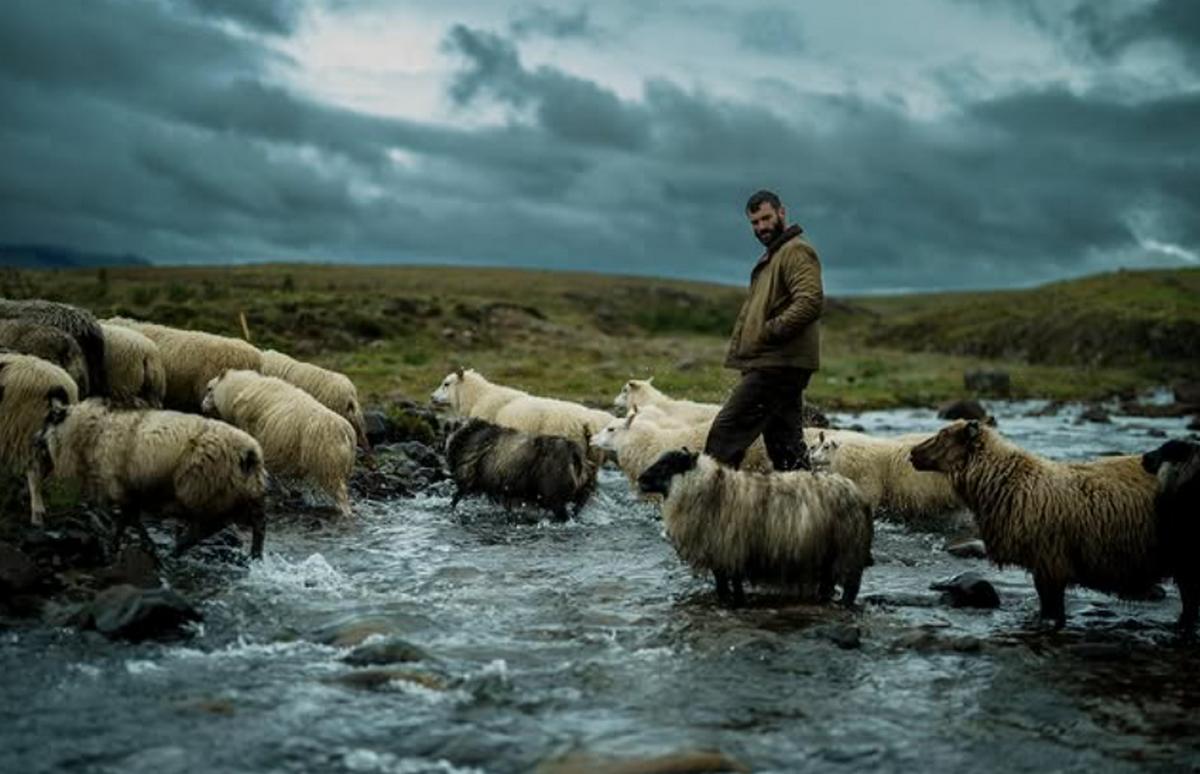 فیلم The Last Photograph