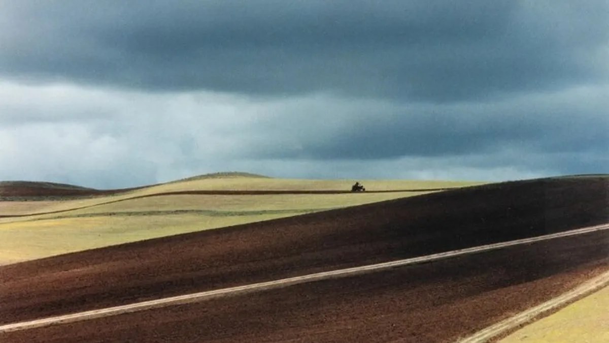 عباس کیارستمی
