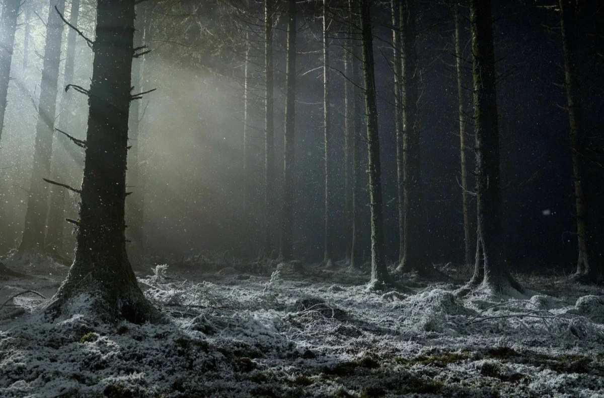 فیلم Werwulf