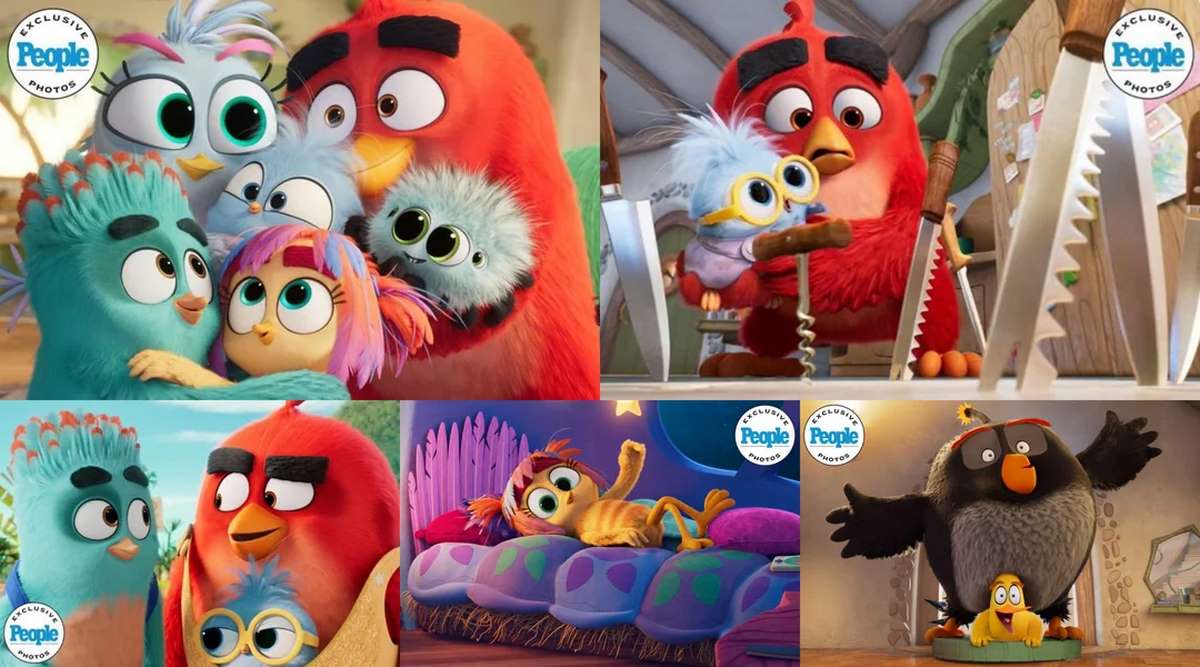 انیمیشن The Angry Birds 3